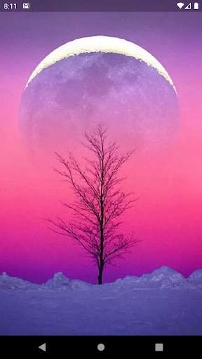 Aesthetic Wallpaper Offline - Free 2020 screenshot 6