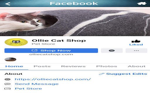 Cat Shop screenshot 10