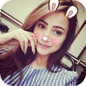 Sweet Camera, Face Filter, Selfie Editor, collage logo
