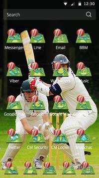 American Ball Game Theme Cricket Popular Sport screenshot 2