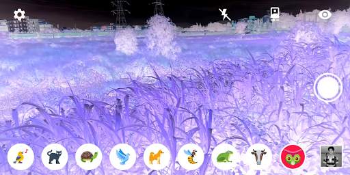 Animal Vision Simulator screenshot 1