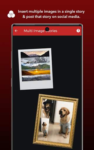 Insta Tools - An Integrated Instagram Toolkit screenshot 8