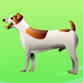 Animal Talking أيقونة