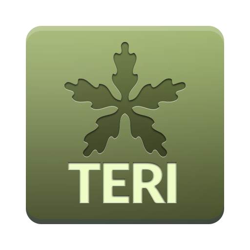 TERI 3.4.253