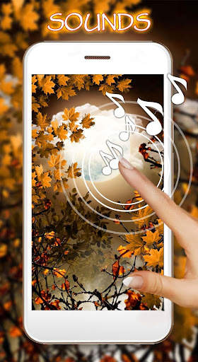 Autumn Moon Live Wallpaper screenshot 1