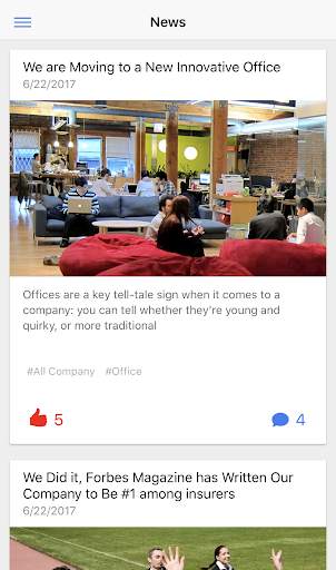 LS Intranet screenshot 4