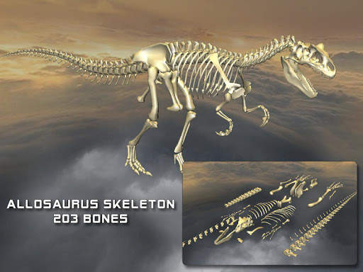 Body Disassembly 3D screenshot 12