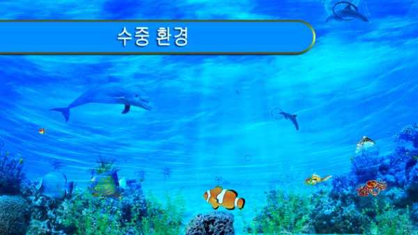 돌고래 재미 경기 screenshot 5