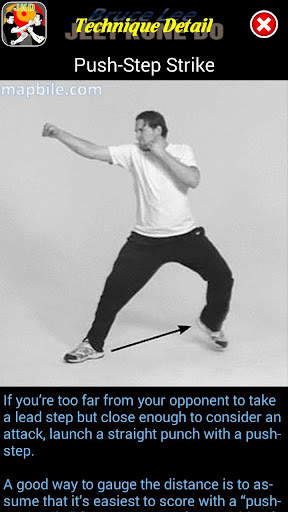 Bruce Lee Jeet Kune Do screenshot 4