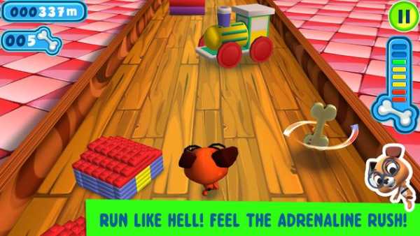 Dog Racing Game screenshot 5