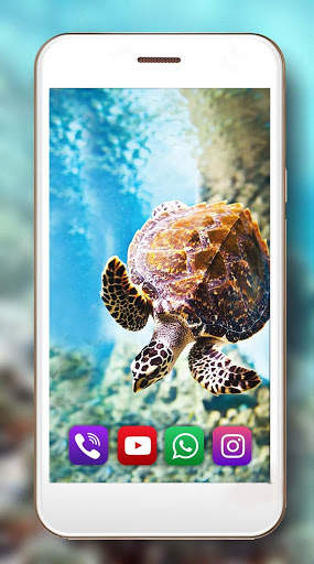 Turtles Sea Live Wallpaper screenshot 5