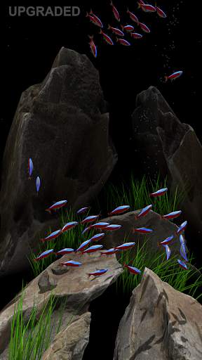 NANO AQUARIUM Free screenshot 7