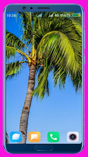 Palm Tree Wallpaper screenshot 6