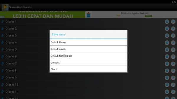 Orioles Bird Sounds Ringtones screenshot 4
