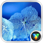 Leaf Locker LWP icon