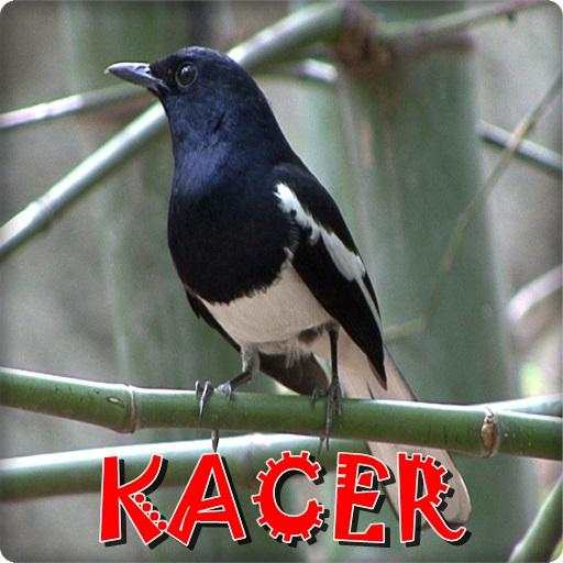 Kacer Master Offline 1.0