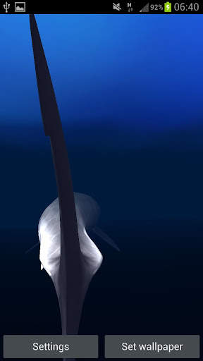 Great White Shark Real 3D screenshot 6