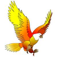 King Bird KSA / OPC50005