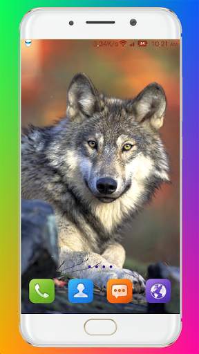 Wolf Wallpaper HD screenshot 12