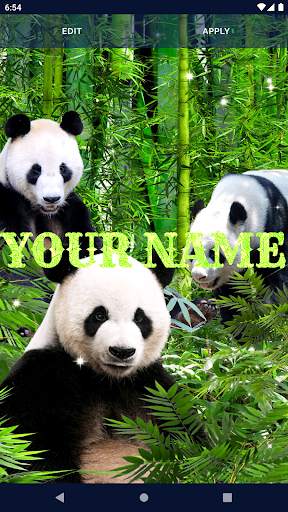 Panda Parallax Wallpapers screenshot 2