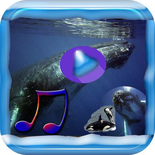 Whale song to sleep 1.0.6