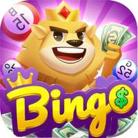 Bingo-King Win Money guia logo
