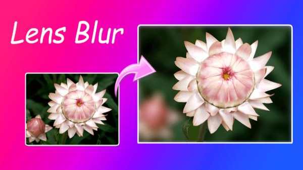 Automatic Blur Background screenshot 5