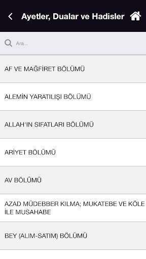 Ayetler, Dualar ve Hadisler скриншот 5
