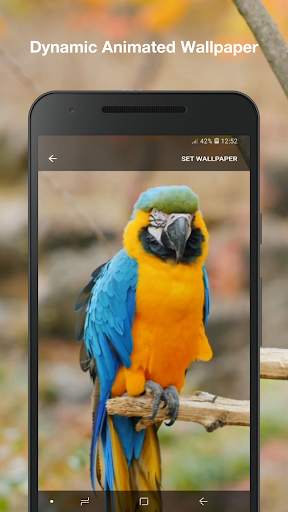 3d Birds Live Wallpaper Pro screenshot 1