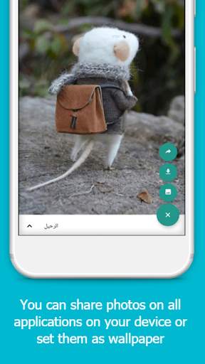 Whats Status screenshot 3