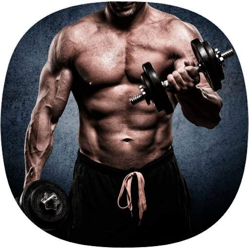 Arm Workout Guide 1.1