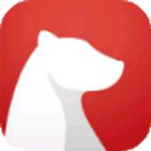 Bear 1.0
