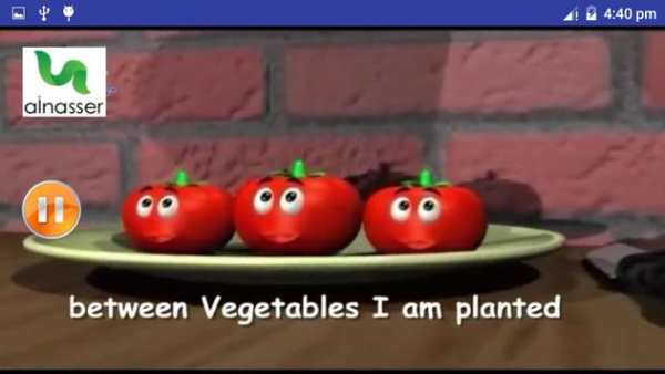 song red tomato without net English and Arabic screenshot 3