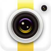 Photo Synthesis