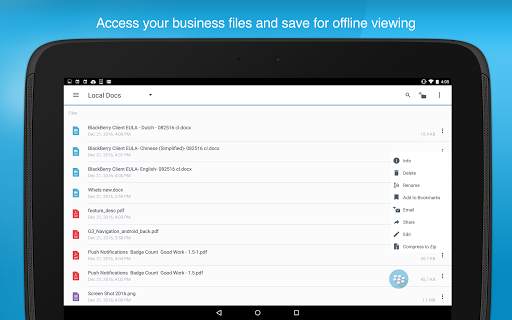 BlackBerry Work screenshot 24