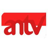 tv indonesia - ANTV TV logo