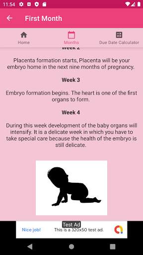 Pregnancy Months & Weeks screenshot 3