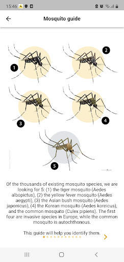Mosquito Alert screenshot 4