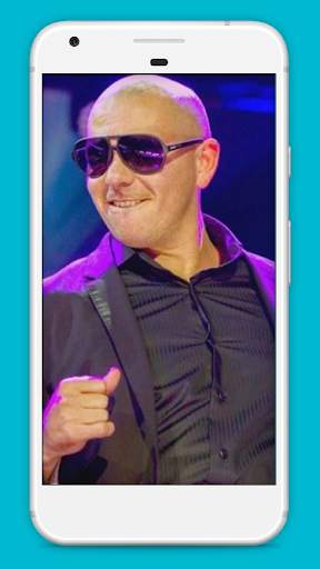Pitbull All Songs screenshot 3