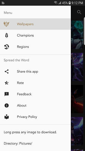 HD Wallpapers for League of Legends screenshot 1