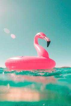 Summer Video Live Wallpaper скриншот 8