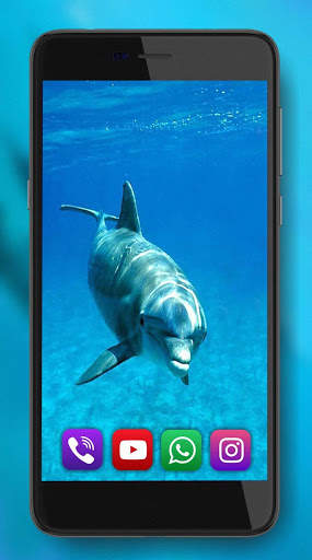 Dolphins Sounds Live Wallpaper screenshot 6