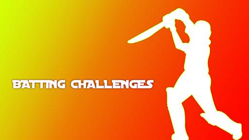 Brainnovate Cricket 2021-3D Cr screenshot 1