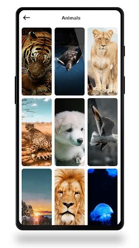 Fondpaper - Live Wallpapers 4K & 3D Backgrounds screenshot 5