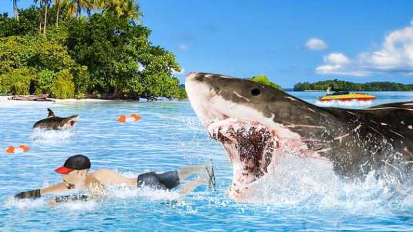 Blue Whale Simulator: Hungry Angry Shark Evolution screenshot 2