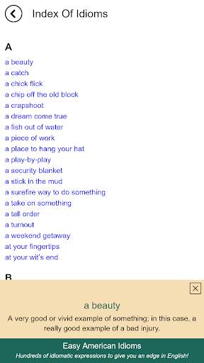 Easy American Idioms screenshot 4