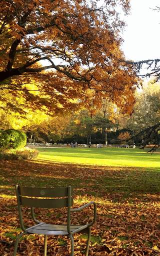 Autumn Live Wallpaper HD screenshot 3