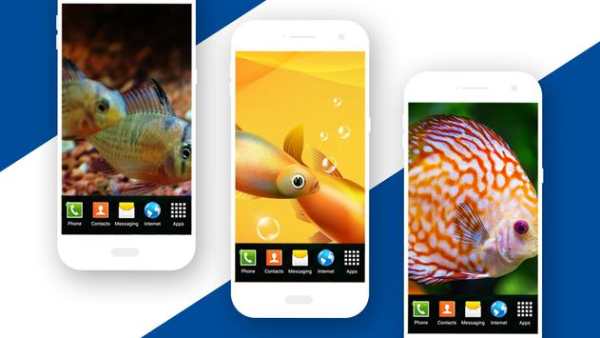 Aquarium Live Wallpaper 4 تصوير الشاشة