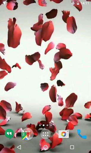 Petals 4K Video Live Wallpaper screenshot 5