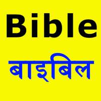 Hindi Bible